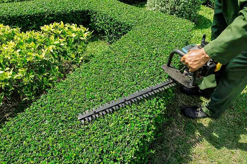 Best Lawn Care Tools Everyone Must Know About