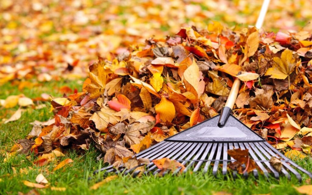 Save Time and Backache: Smart Leaf Removal Florence Solutions