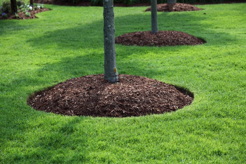 Heart Touching Lawns