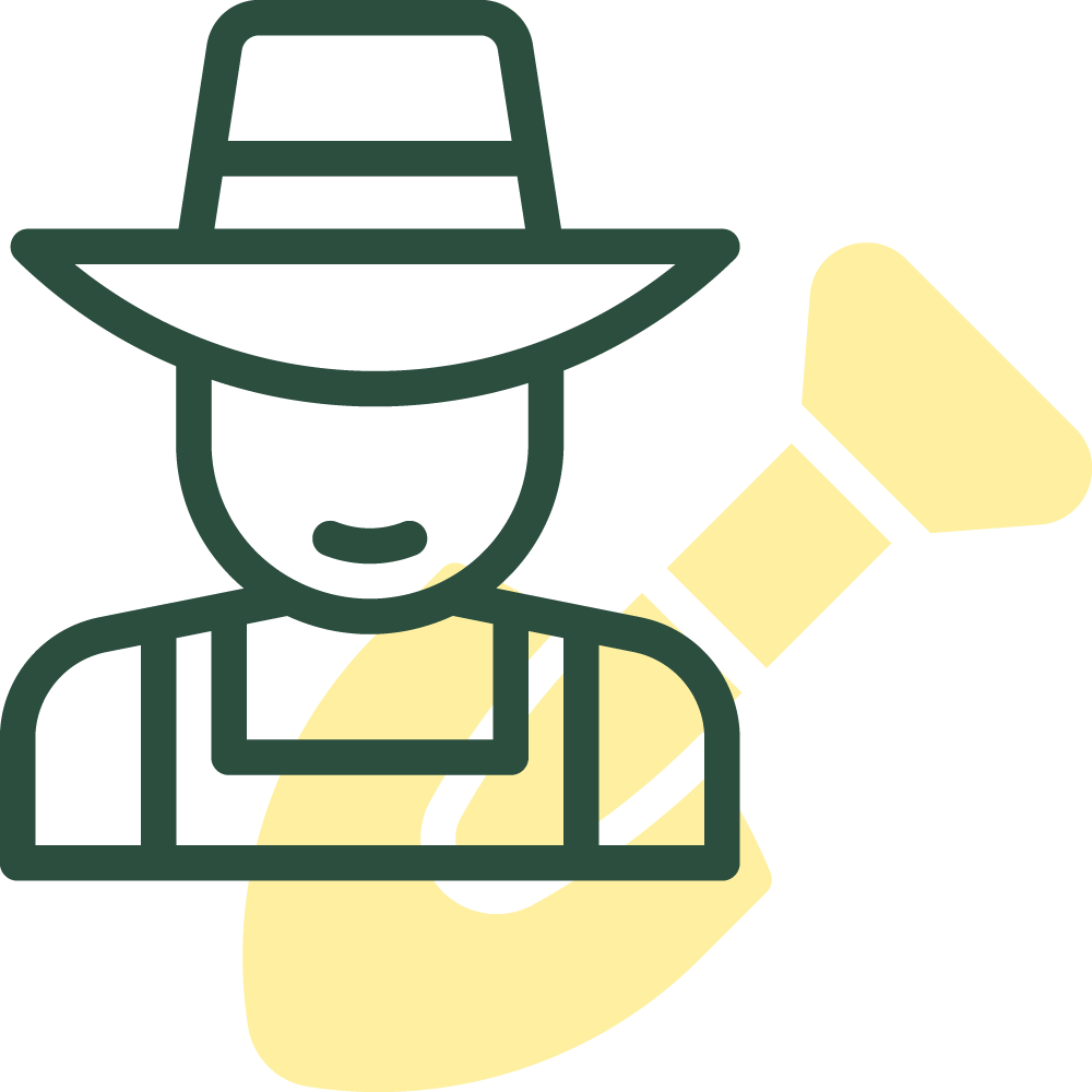 Lawn Care Service