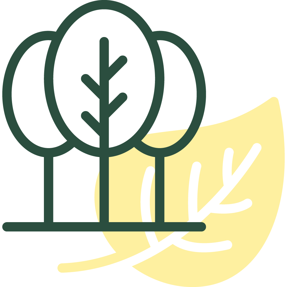 planting