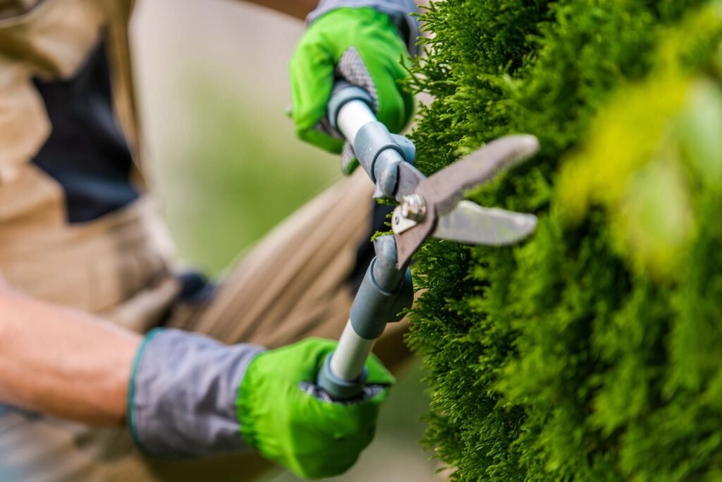 DIY Yard Maintenance Services vs. Professional: A Complete Breakdown