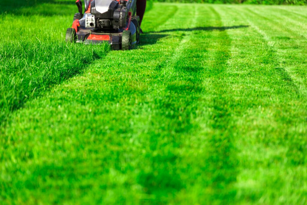 Mowing lawn