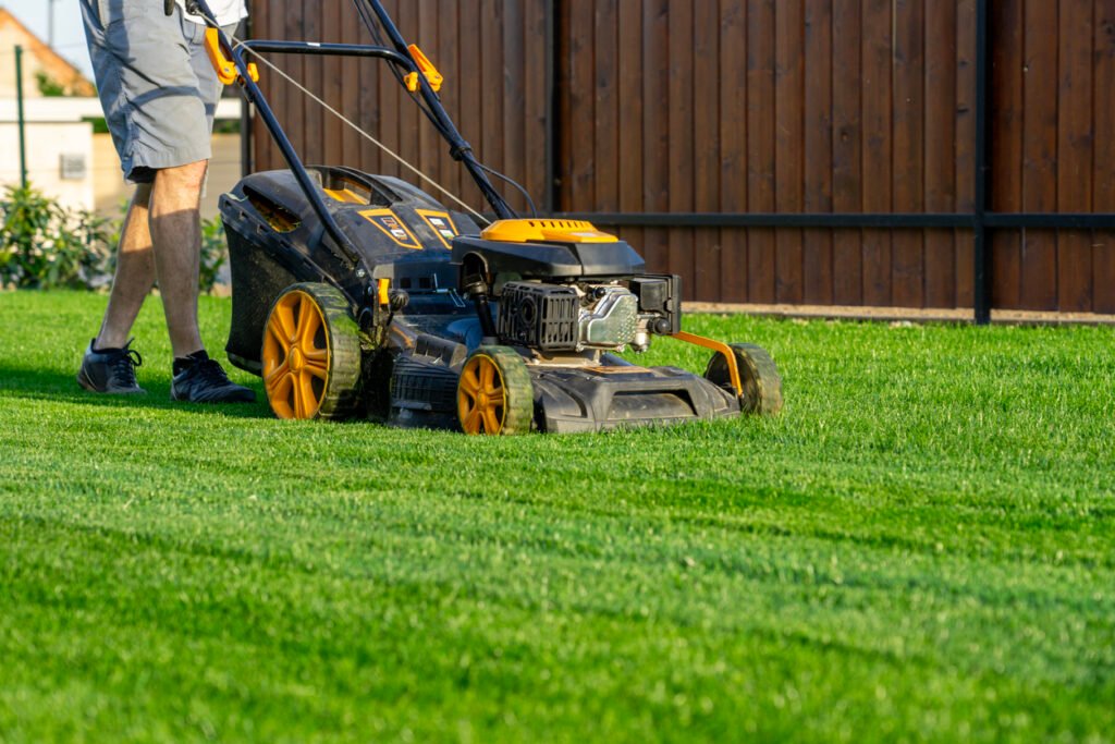 Debunking Grass Cutting Myths: What To Know